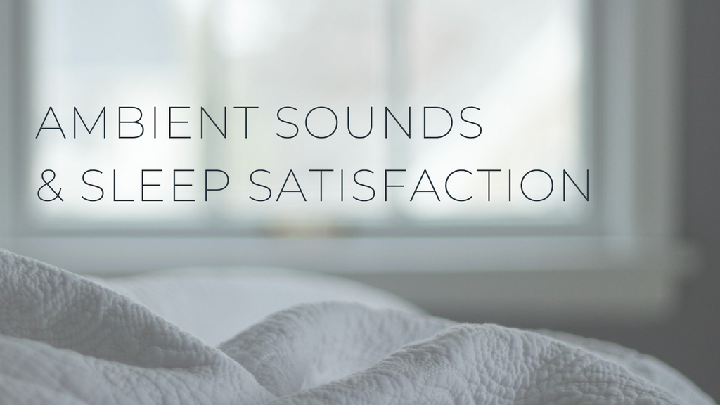 Noise and Sleep Satisfaction